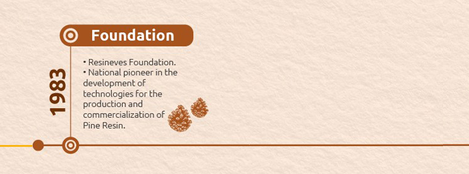 Timeline-01-ingles-foundation