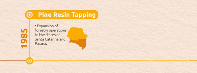 Timeline-02-ingles-pine-resin-tapping