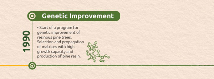 Timeline-04-ingles-genetic-improvement