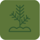 Seedlings