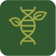 Ecoplant