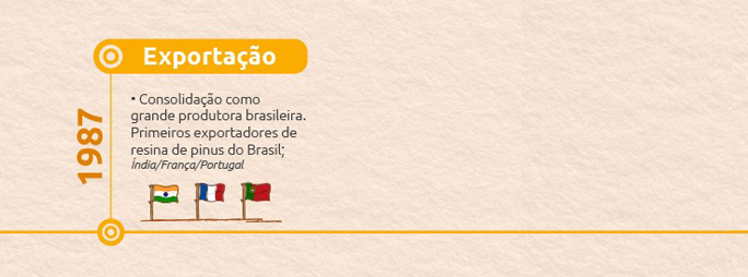 Timeline-03-portugues-exportacao