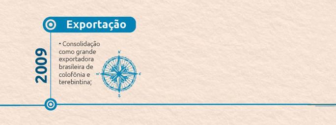 Timeline-11-portugues-exportacao-2009