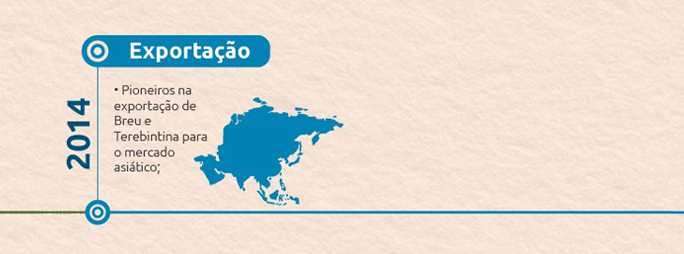 Timeline-15-portugues-exportacao-2014